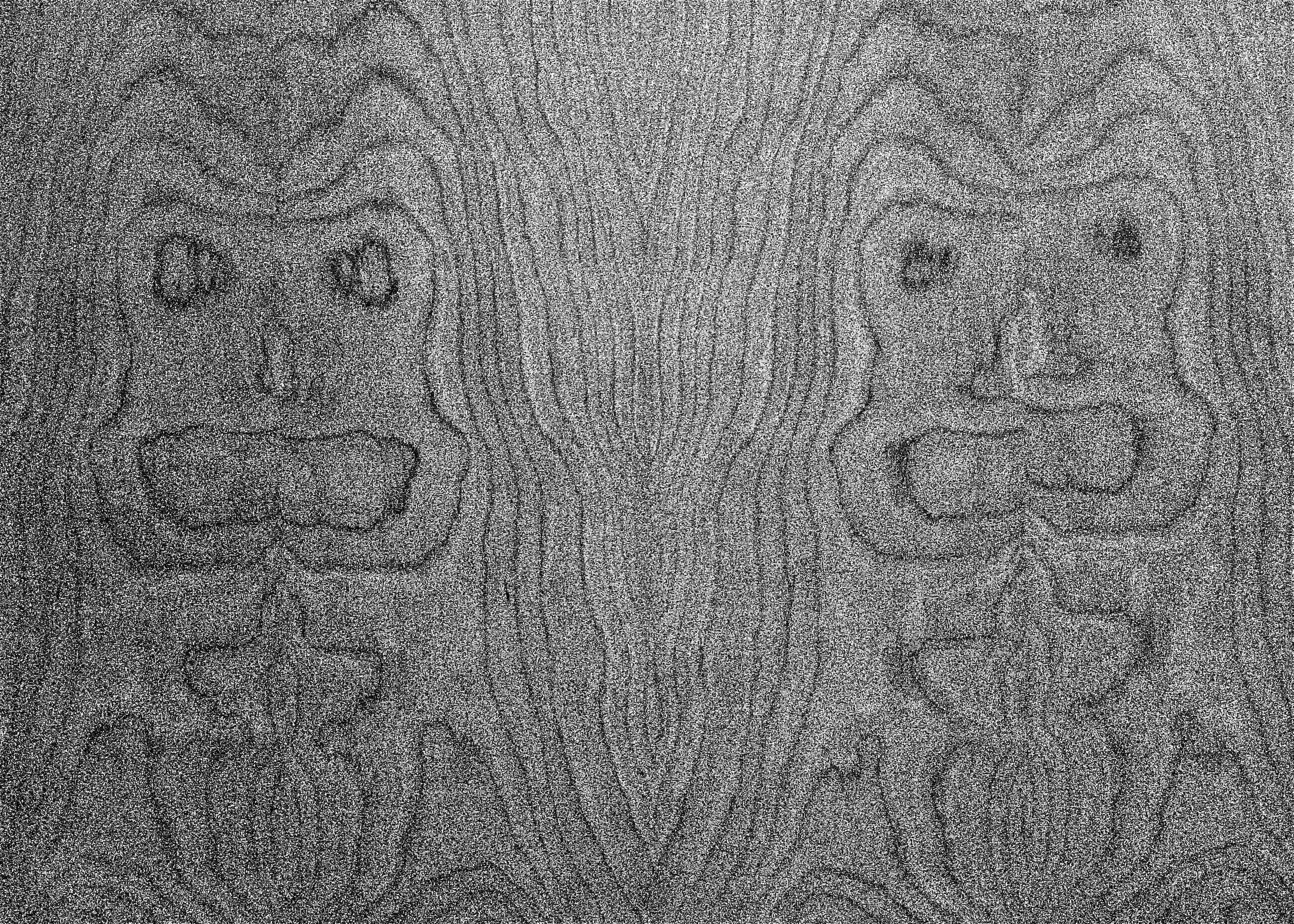 faces in wood grain