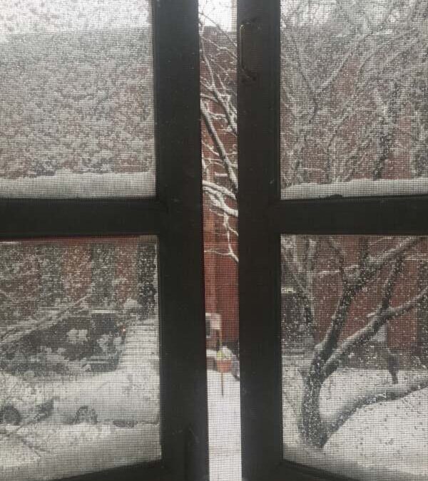 snowy Brooklyn hood outside window panes ajar